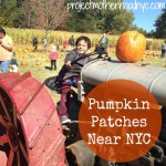 Pumpkin Patches Near NYC: Secor Farms