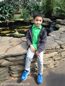 bronx-zoo-2
