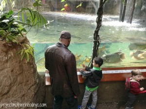 bronx-zoo-6