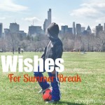 5 Wishes For Summer Break