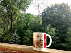 catskills-emerson-resort-and-spa-1