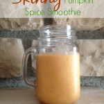 Starbucks Pumpkin Spice Latte Alternative: Skinny Pumpkin Spice Smoothie