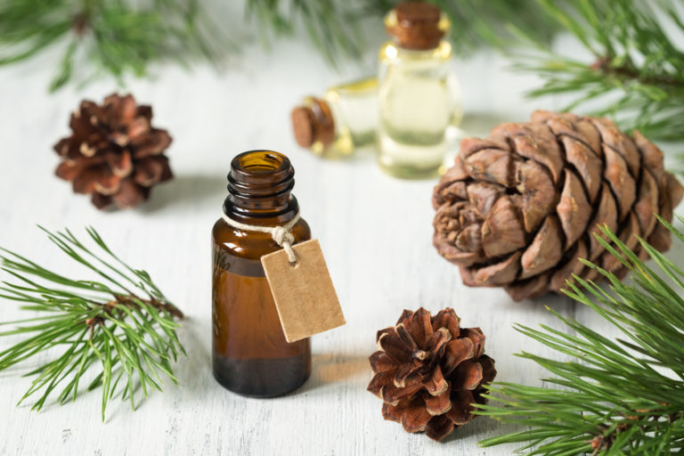 10 Christmas Essential Oil Blends For a Healthy Holiday