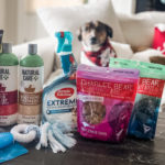 Gift Ideas For Pets