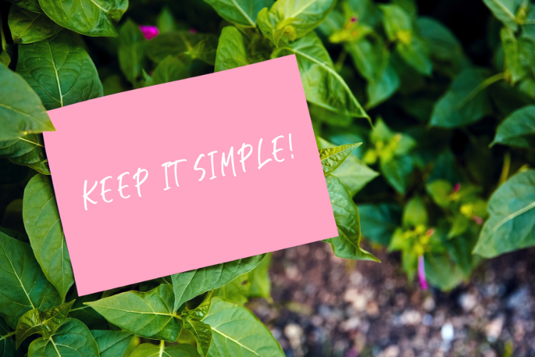 25 Ways to Simplify Your Life