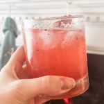 Fresh Cranberry Vodka Spritz Holiday Cocktail Recipe (Or Mocktail)