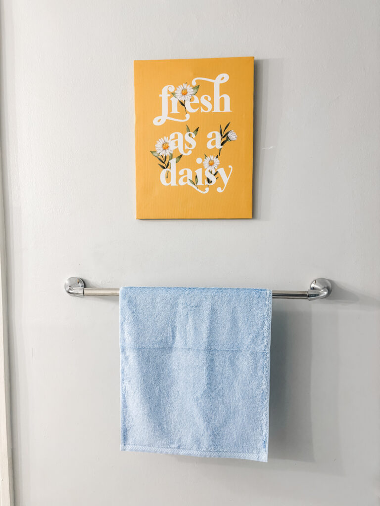 Tween Bathroom Decor Ideas